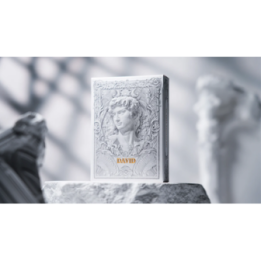 Alabaster David Luxury Playing Cards by TCC Fashion