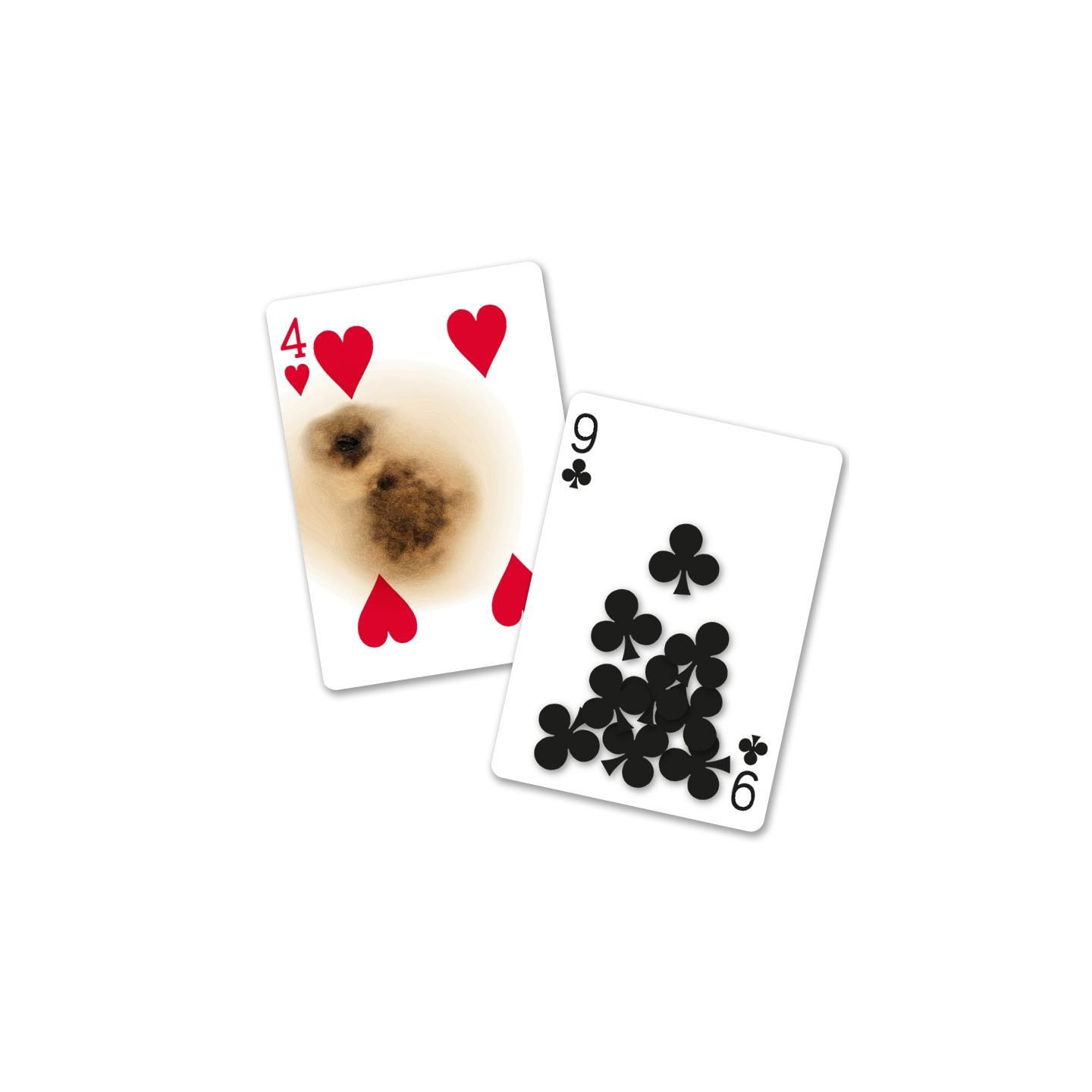 Bicycle - Super Gaff Deck