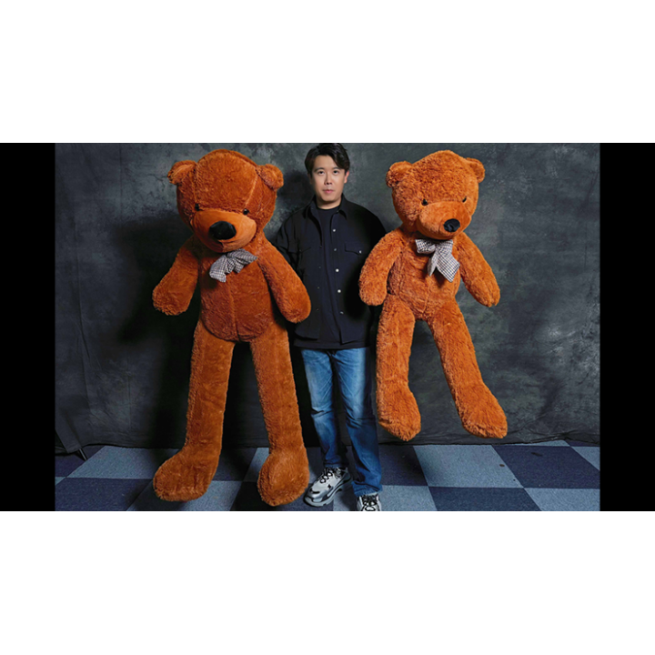 Teddy Bear Appearance (Extra Large) by MS Magic