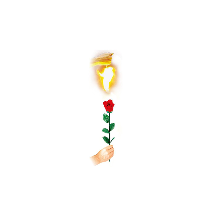 Instant Rose by Vincenzo DiFatta
