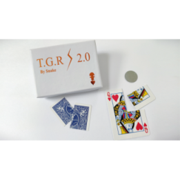 Together 2.0 (Blue) by Snake