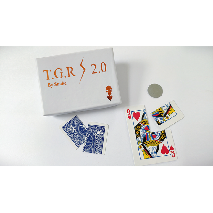 Together 2.0 (Blue) by Snake