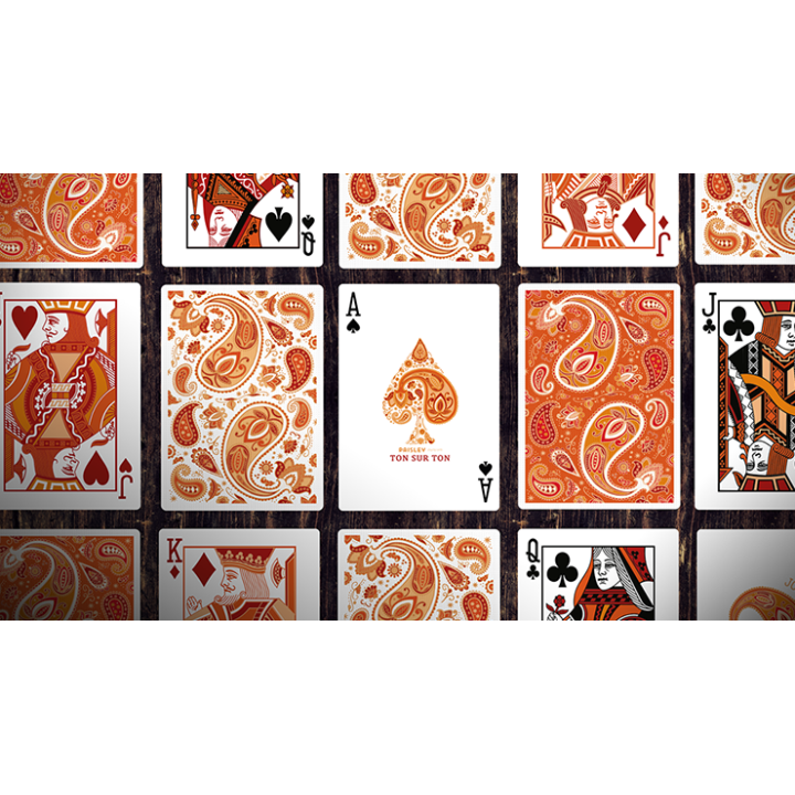 Paisley Ton sur Ton Poudre Orange Foil Designer's Choice