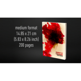 Babel Book Test 4 by Vincent Hedan (Memory of tomorrow), medium, 600 pages