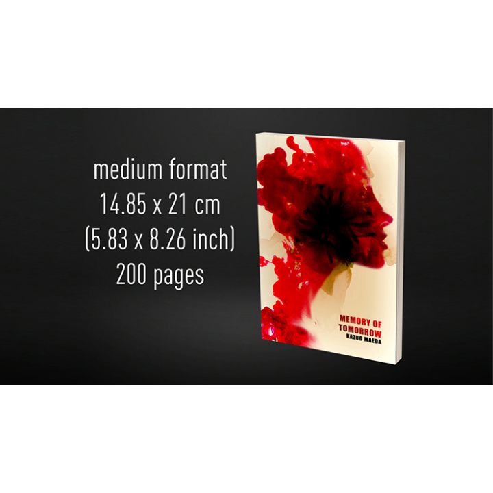 Babel Book Test 4 by Vincent Hedan (Memory of tomorrow), medium, 600 pages