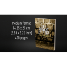Babel Book Test 5 by Vincent Hedan (The regret factory), medium, 400 pages