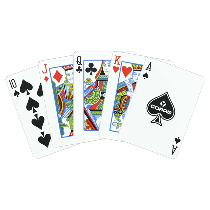 Copag Unique Plastic Playing Cards Poker Size Regular Index Gray and Purple Double-Deck Set