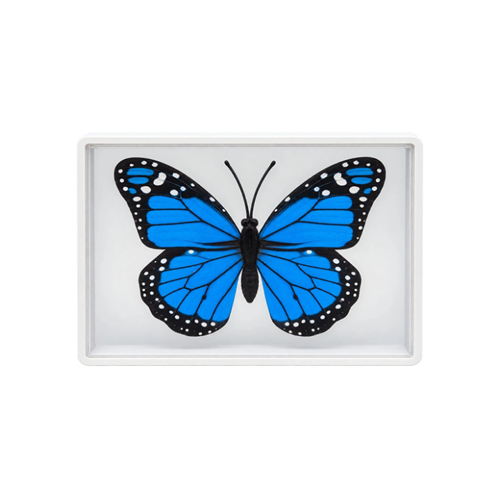 Omni Butterfly by Hyde Ren & Bacon Magic