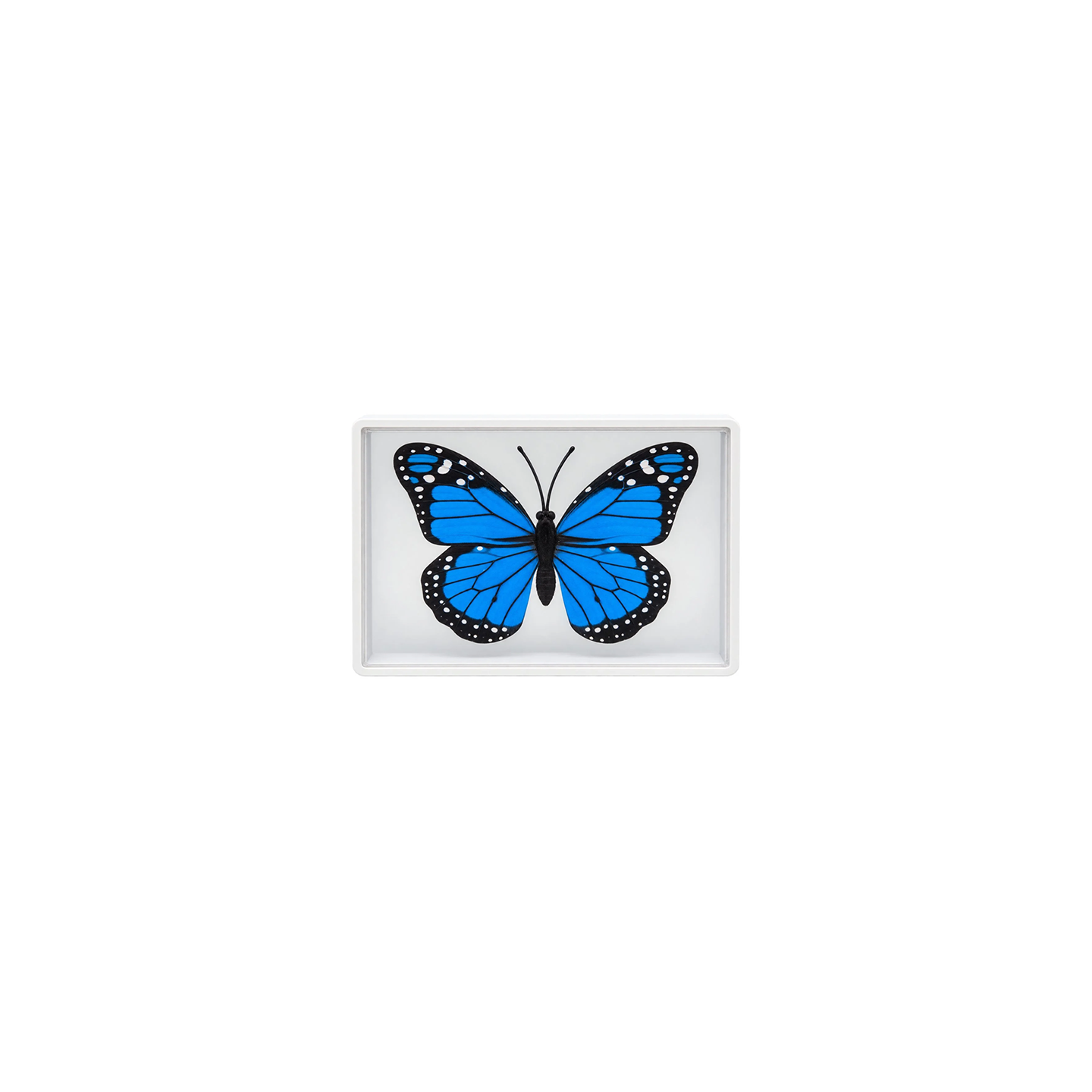 Omni Butterfly by Hyde Ren & Bacon Magic