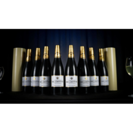 Miracle Wine Bottles Champagne Model Complete Set with Case by TCC Magic