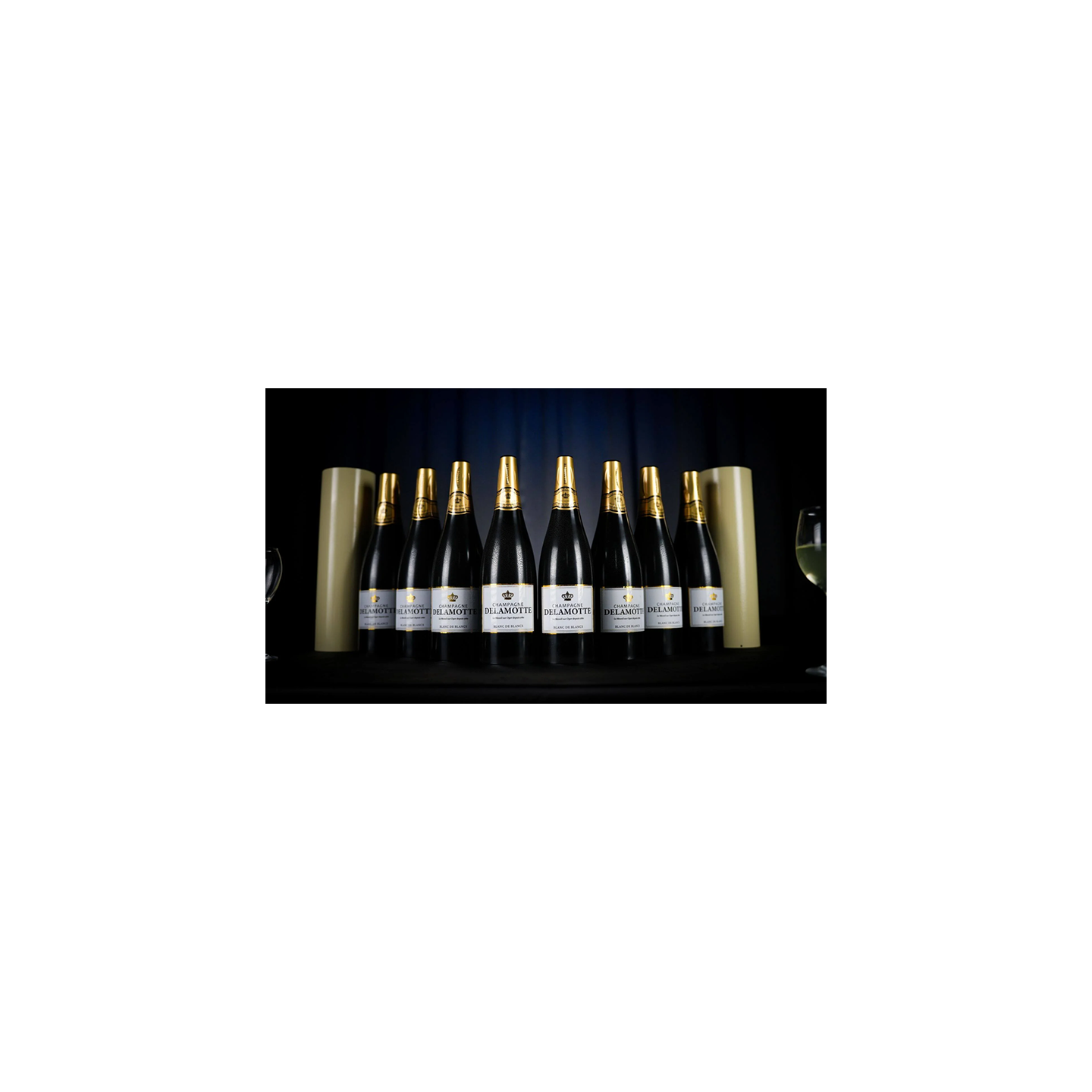 Miracle Wine Bottles Champagne Model Complete Set with Case by TCC Magic