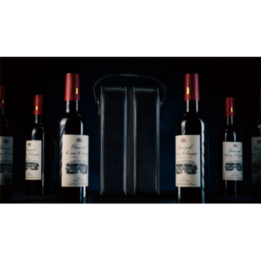 Miracle Wine Bottles Complete Set with Case by TCC