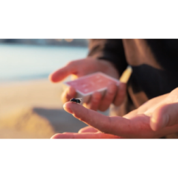 The FLY LITE by Marcos Waldemar & Invisible Compass