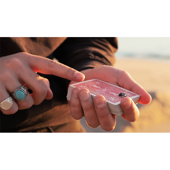 The FLY LITE by Marcos Waldemar & Invisible Compass