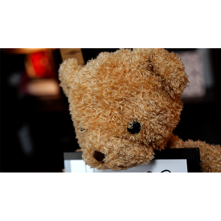 Teddy Unframed by Bond Lee & JC Magic