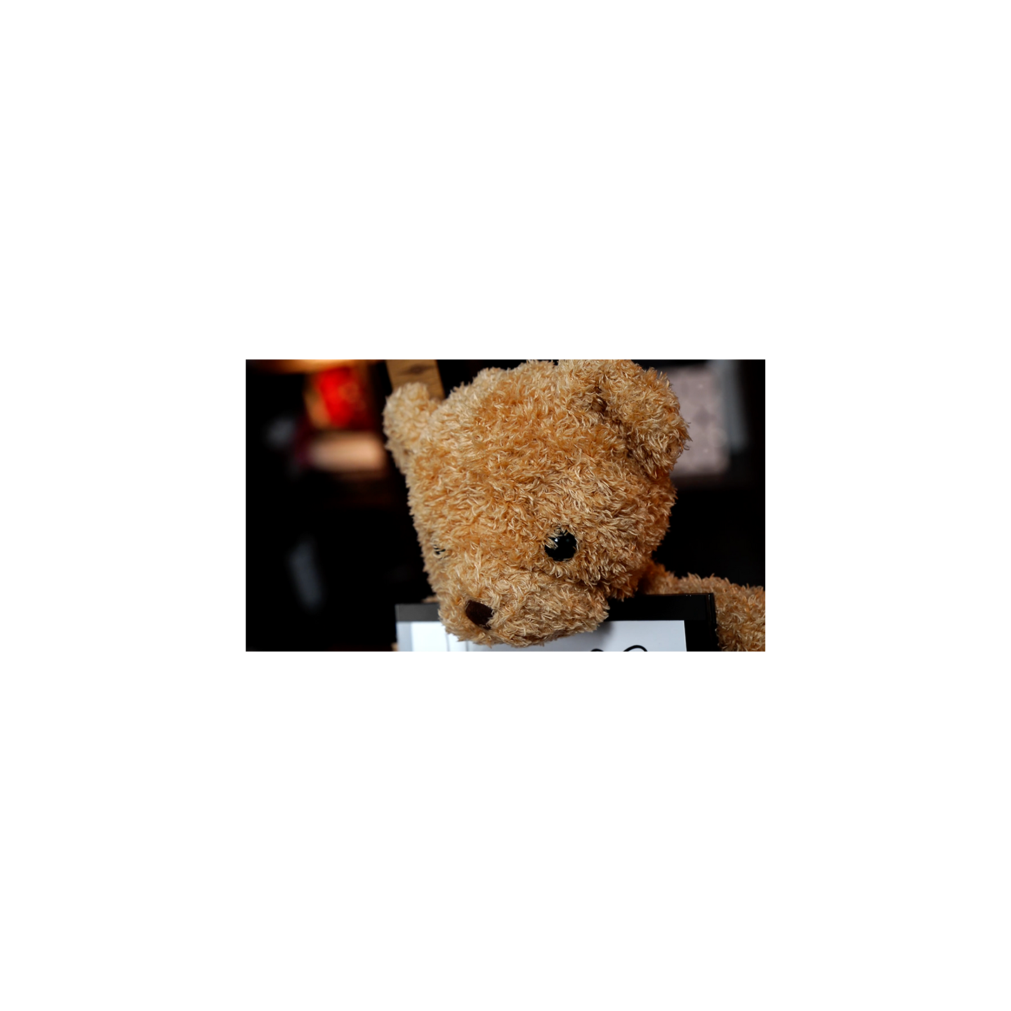 Teddy Unframed by Bond Lee & JC Magic