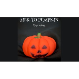 Silk to Pumpkin by Alan Wong