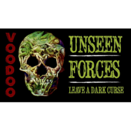 Voodoo by Bill Abbott
