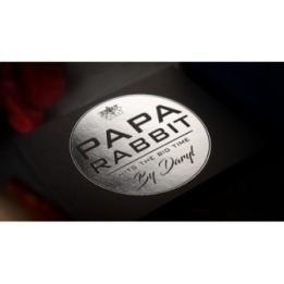 Papa Rabbit Hits The Big Time (Gimmicks and Online Instruction) by DARYL