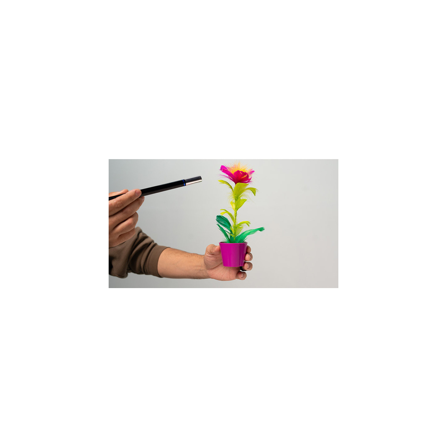 Miracle Wand to Flower by Murphy's Magic