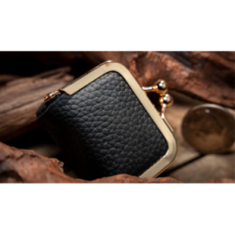 Coin Bag by TCC Magic
