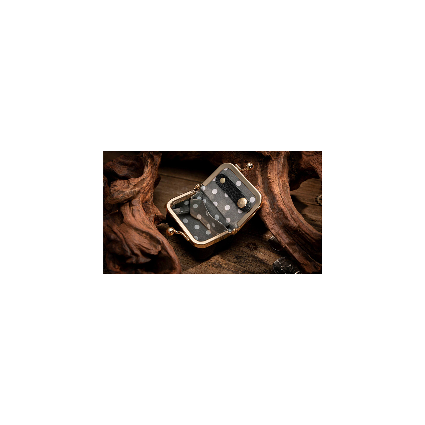 Coin Bag by TCC Magic