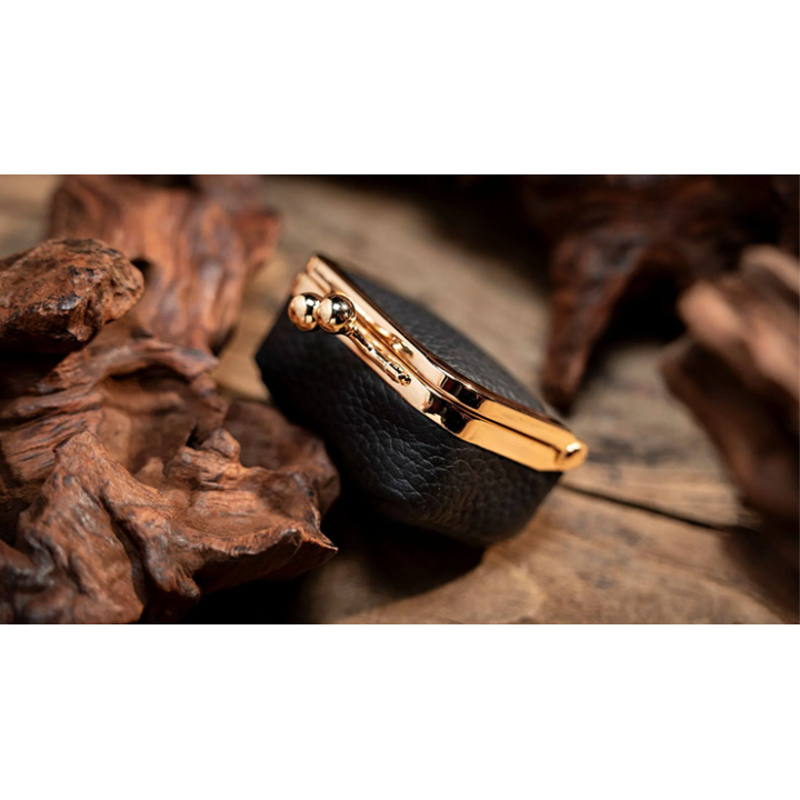 Coin Bag by TCC Magic
