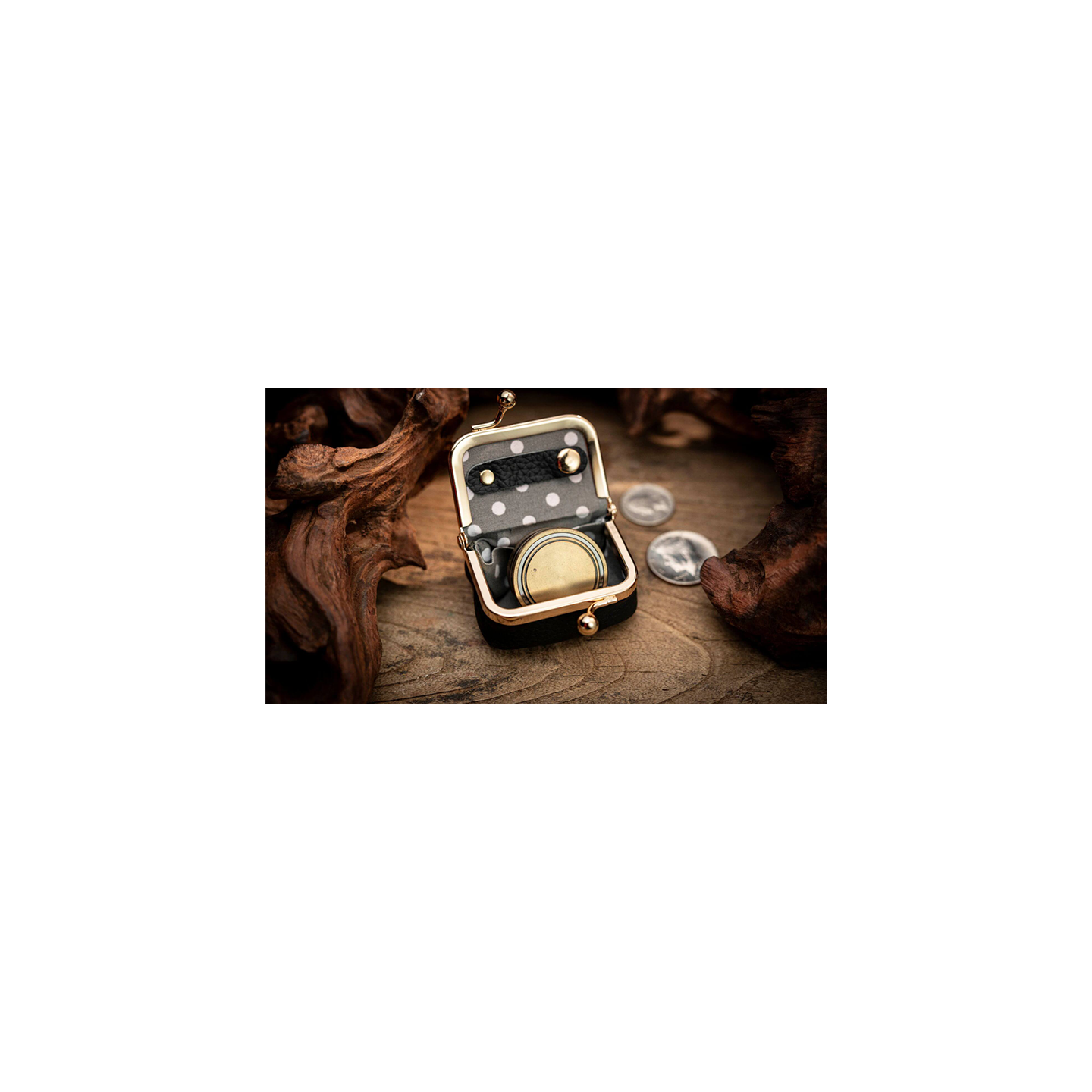 Coin Bag by TCC Magic