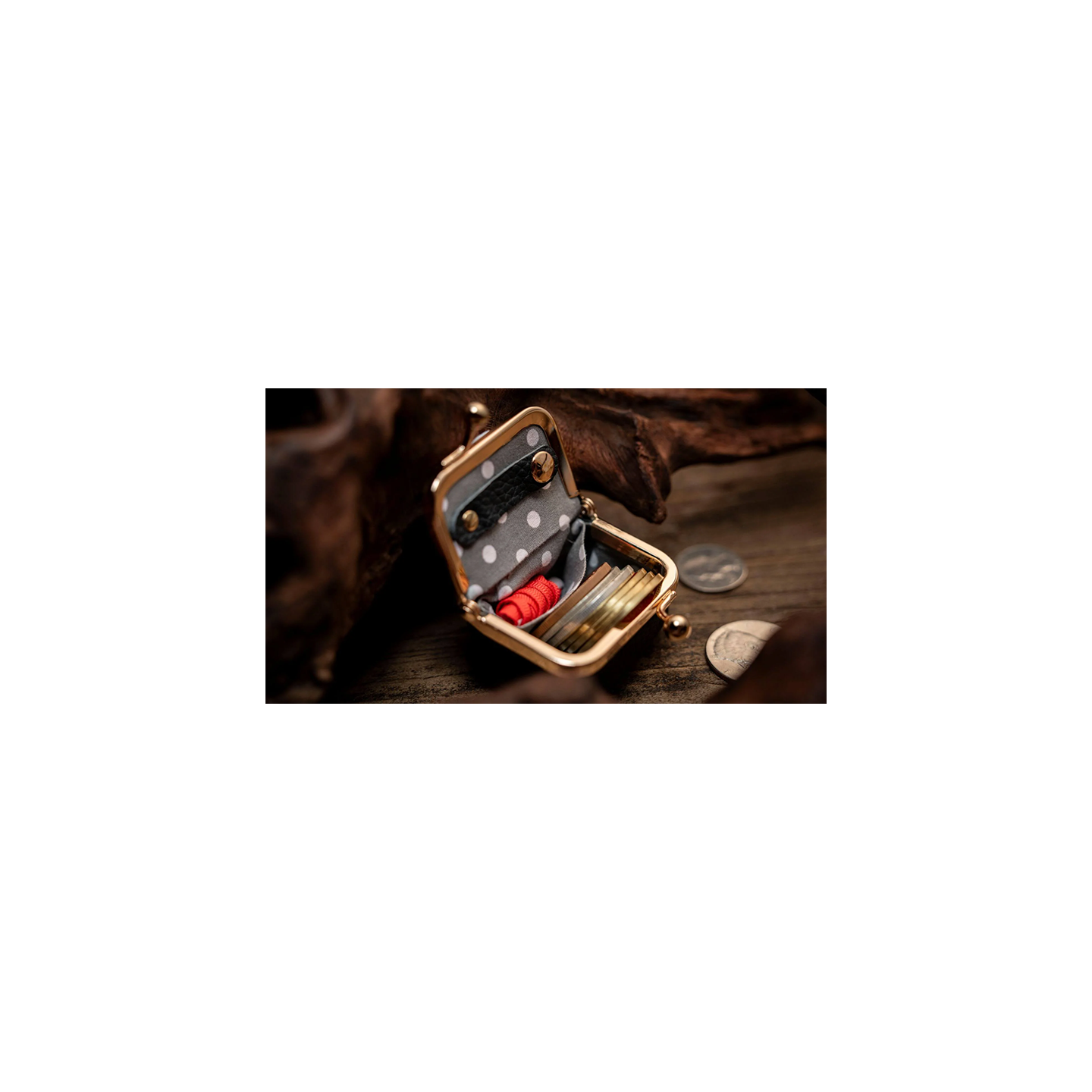 Coin Bag by TCC Magic