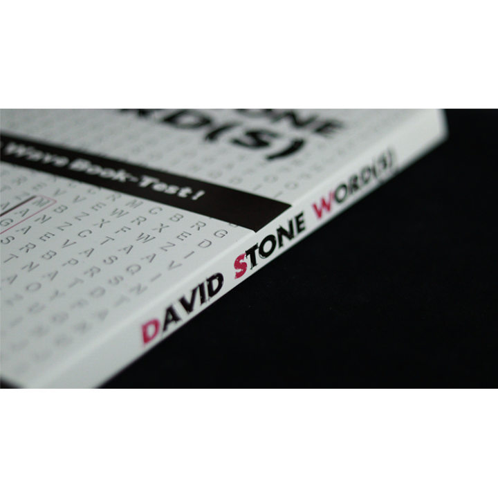 David Stone's Words (German Version)