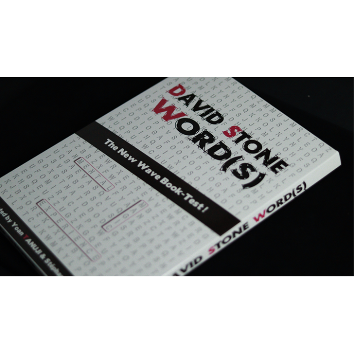 David Stone's Words (English Version)