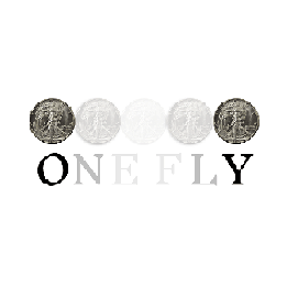 OneFly by Pieter Hofstra video DOWNLOAD