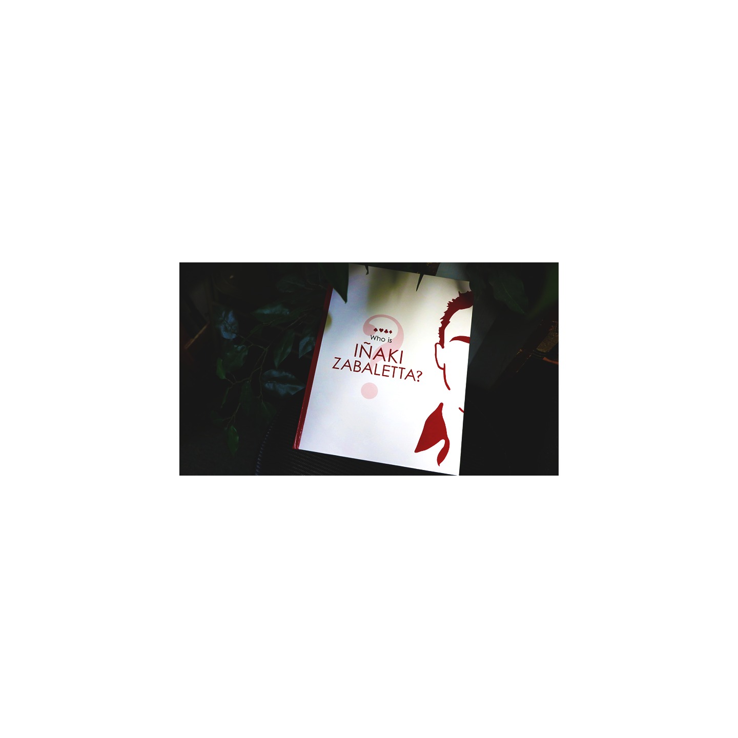 Who is Inaki Zabaletta? by Vernet Magic - Book