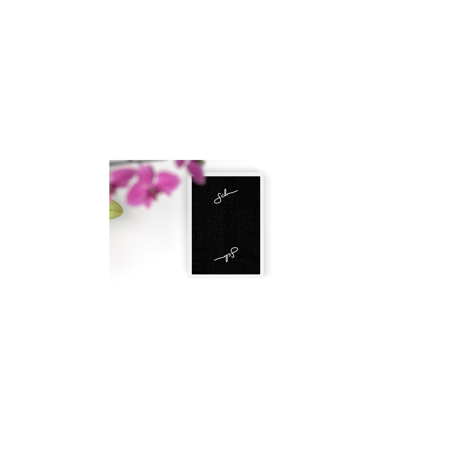 Daniel Schneider Limited Edition Playing Cards