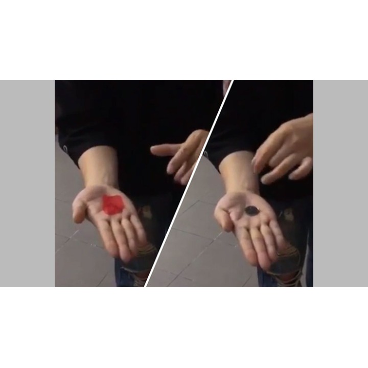 PETAL TO COIN by JL Magic