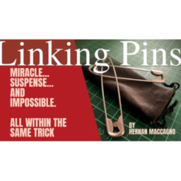Linking Pins by Hernan Maccagno