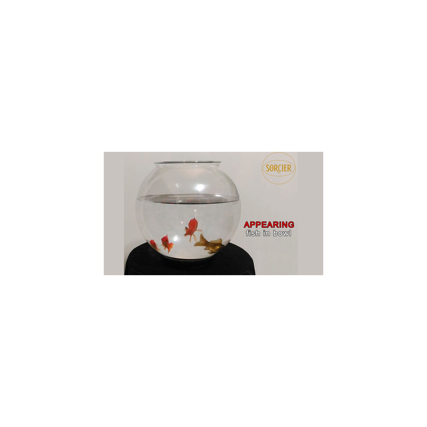 APPEARING FISH IN BOWL by Sorcier Magic