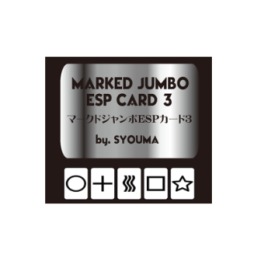 Marked Jumbo ESP Cards (Black) by Tejinaya Magic