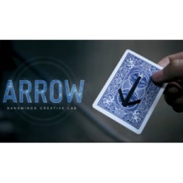 Arrow (DVD and Gimmick) by SansMinds - DVD