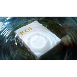Koi V2 Playing Cards by Byron Leung