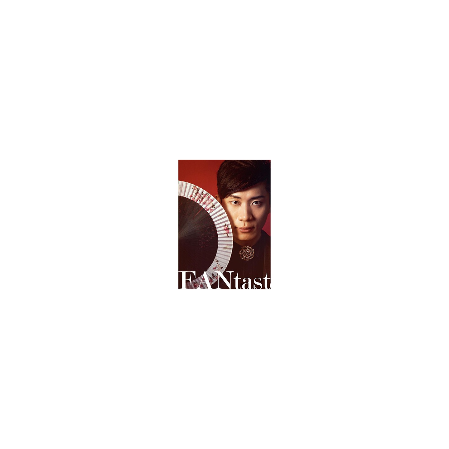 FANtast by Po-Cheng Lai - DVD