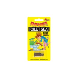 BANG! Toilet Seat Prank by Loftus - Tricks