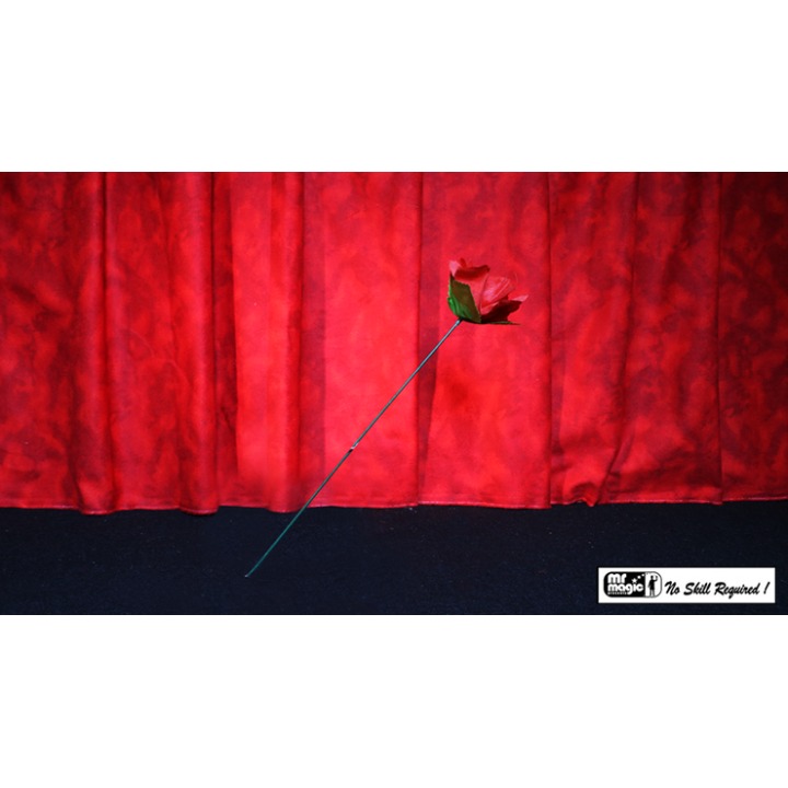 Torch to Rose by Mr. Magic
