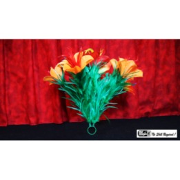 Classic Sleeve Bouquet Pair (6) Deluxe by Mr. Magic