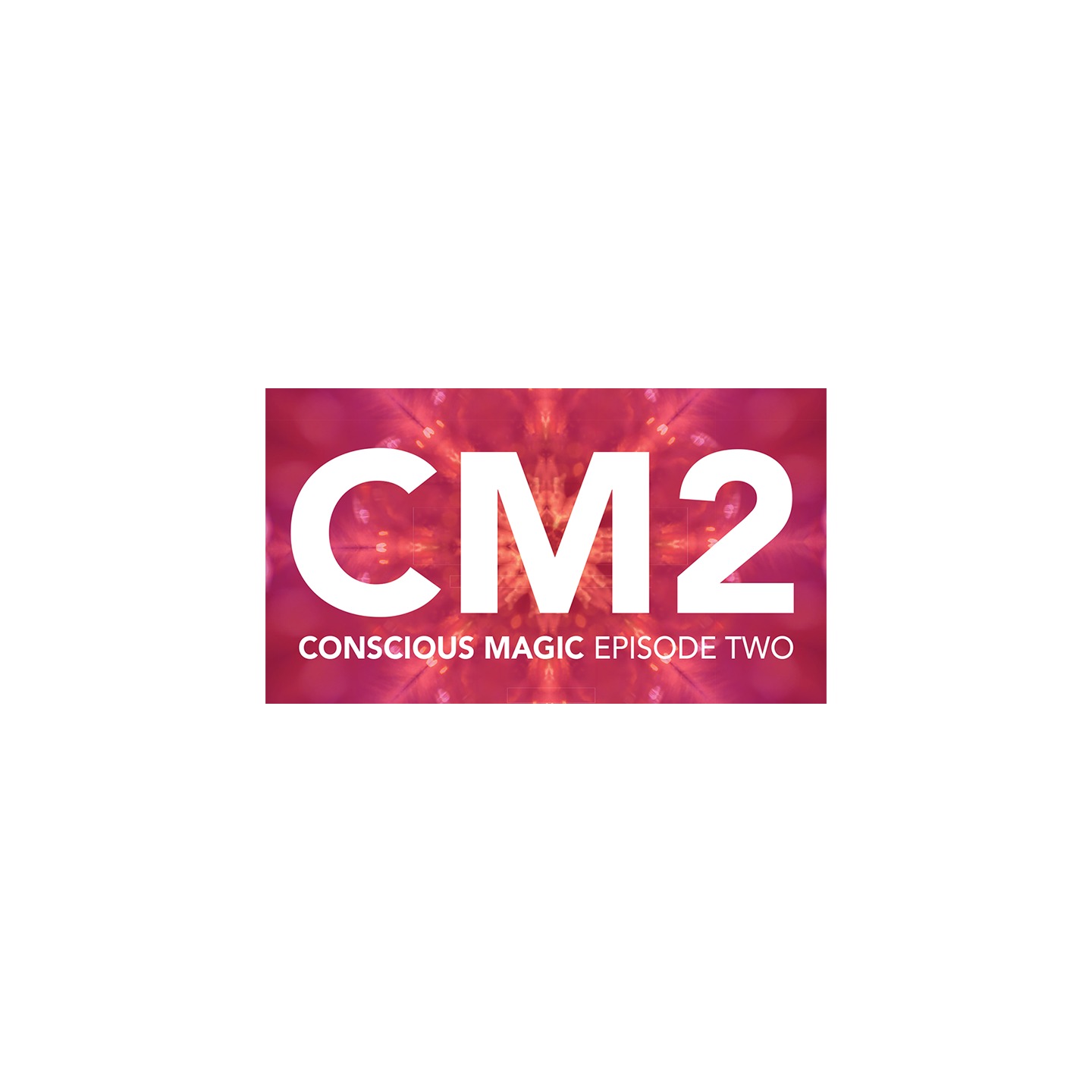 Conscious Magic Episode 2 (Get Lucky, Becoming, Radio, Fifty 50) with Ran Pink and Andrew Gerard - DVD