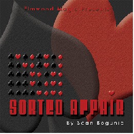 Sorted Affair (2013) by Sean Bogunia