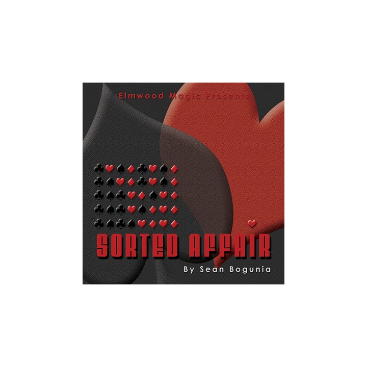 Sorted Affair (2013) by Sean Bogunia