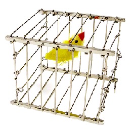 Vanishing Bird Cage