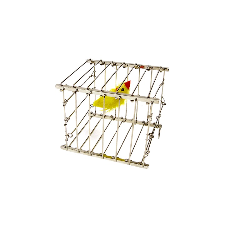 Vanishing Bird Cage