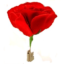 Match to Rose by Mr. Magic